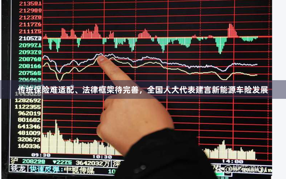 传统保险难适配、法律框架待完善，全国人大代表建言新能源车险发展