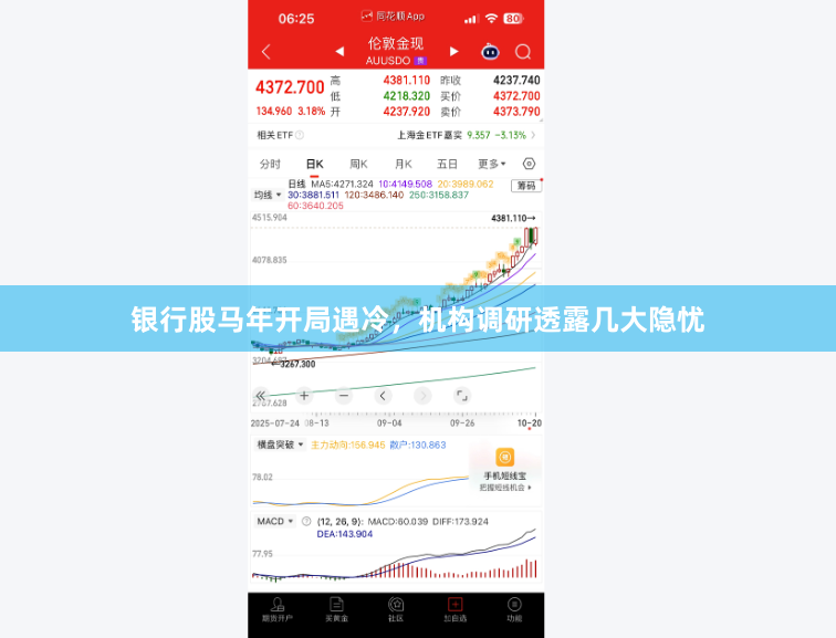 银行股马年开局遇冷，机构调研透露几大隐忧