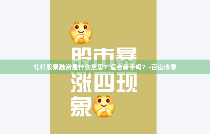 杠杆股票融资是什么意思？适合新手吗？-百度收录